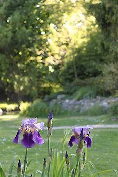 Hotel Le Clos De Mutigny La Chaussée-sur-Marne