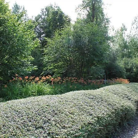 Hotel Le Clos De Mutigny La Chaussée-sur-Marne